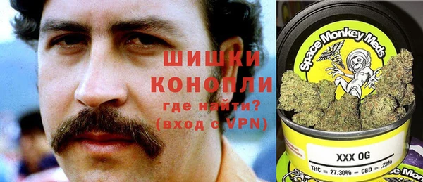 дживик Белокуриха