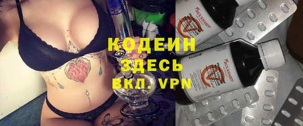 дживик Белокуриха