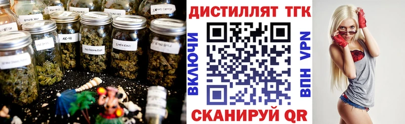мега зеркало  Рудня  Дистиллят ТГК THC oil  наркошоп 